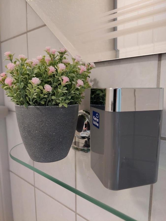Helles Modern Eingerichtetes Apartment ハレ エクステリア 写真