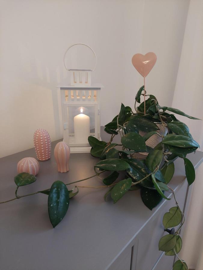 Helles Modern Eingerichtetes Apartment ハレ エクステリア 写真